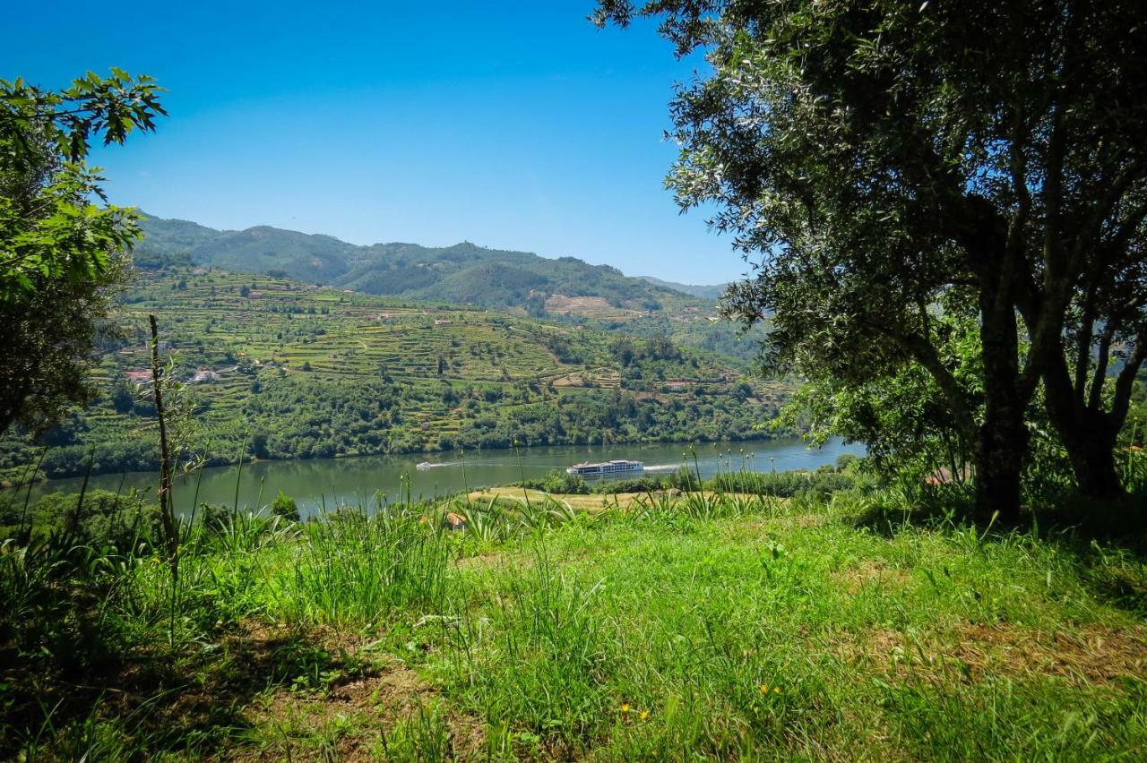 Casa Da Mouta - Douro Valley 拜昂 外观 照片