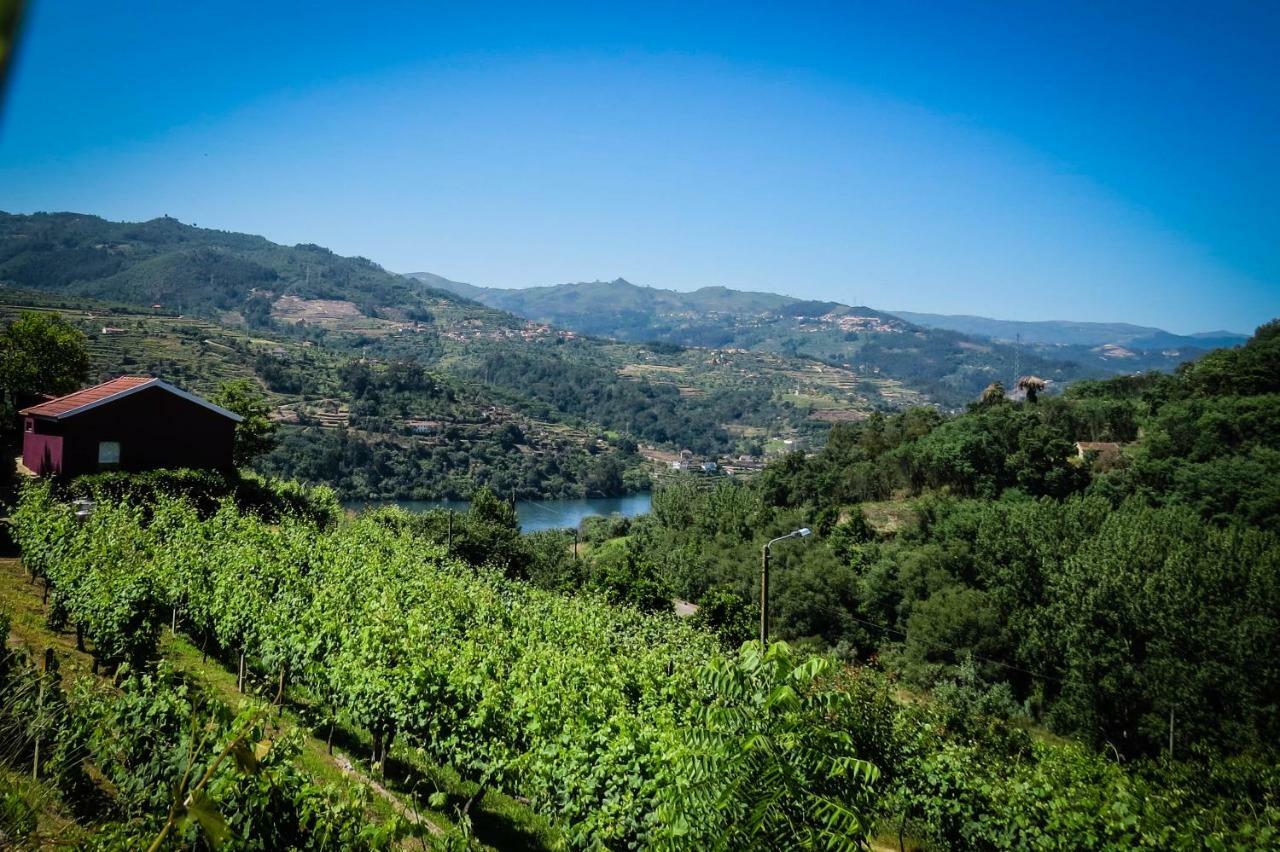 Casa Da Mouta - Douro Valley 拜昂 外观 照片