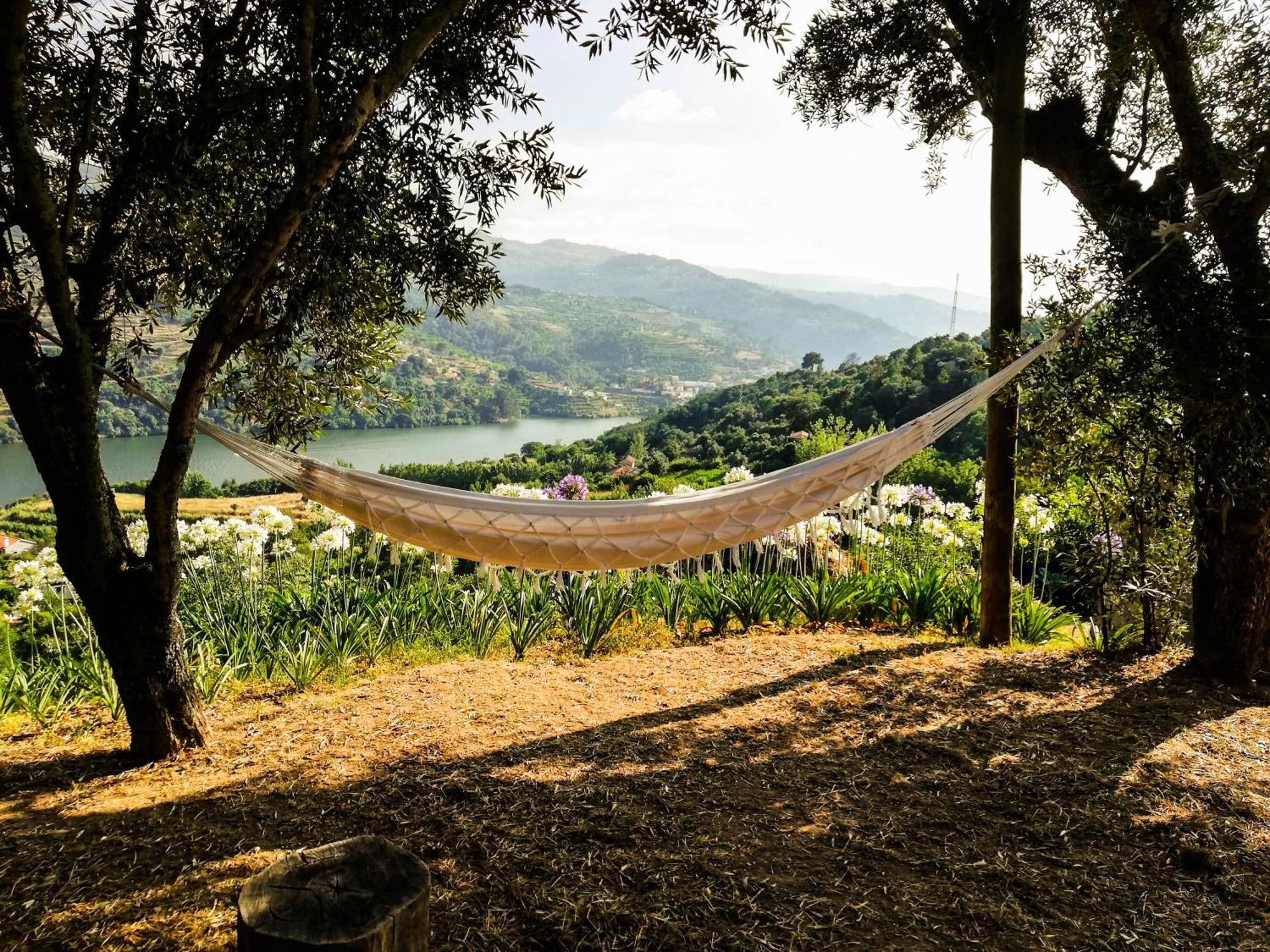 Casa Da Mouta - Douro Valley 拜昂 外观 照片