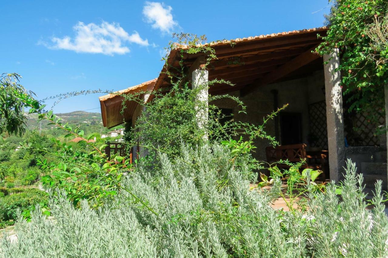 Casa Da Mouta - Douro Valley 拜昂 外观 照片